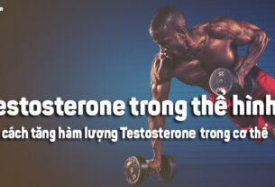 Testosterone trong tập thể hình