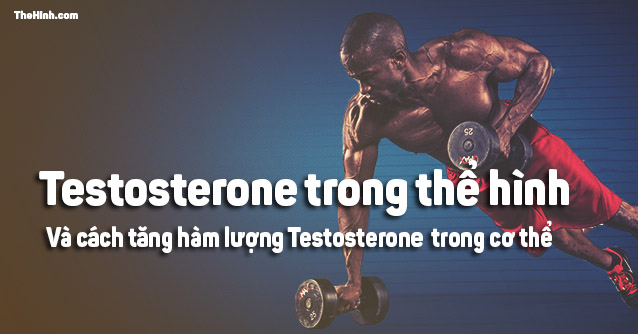 Testosterone trong tập thể hình