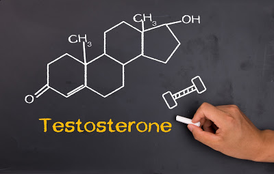 Testosterone là gì